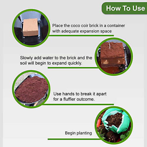 Coconut Bran Brick